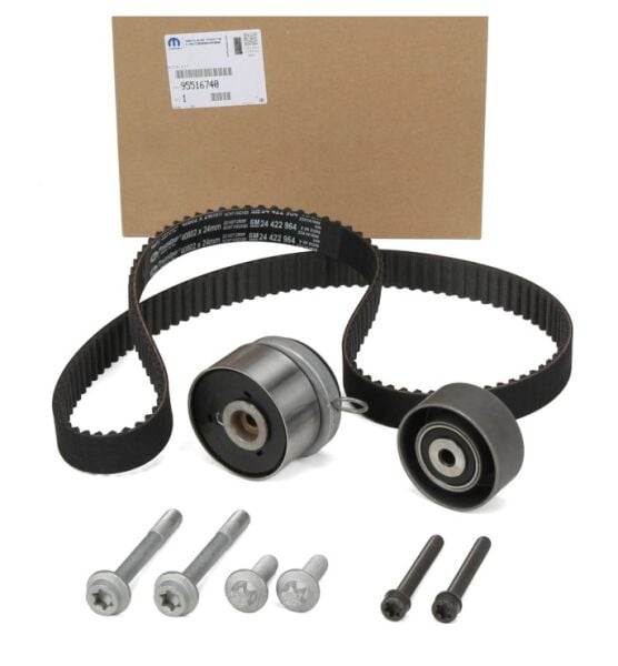 Chevrolet Aveo T250 (2010 - 2011) 1.4 Triger Seti Orijinal